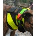 Pig Dog Rip Collar Basic with Medium Extension